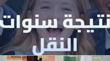 صدرت اليوم نتيجة النقل بالقاهرة والجيزة إلكترونياً وبالمدارس